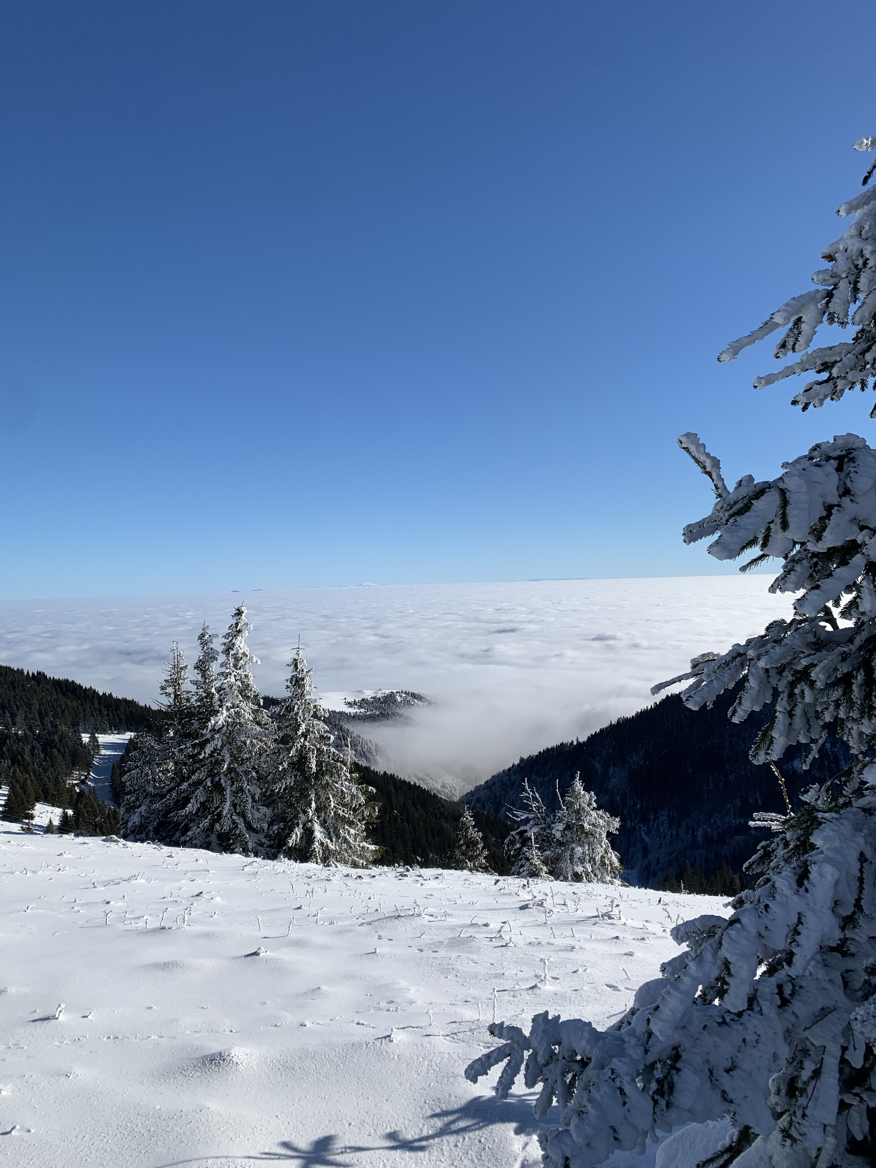 Продвинутые техники сноуборда с профессиональным русским инструктором в Копаонике