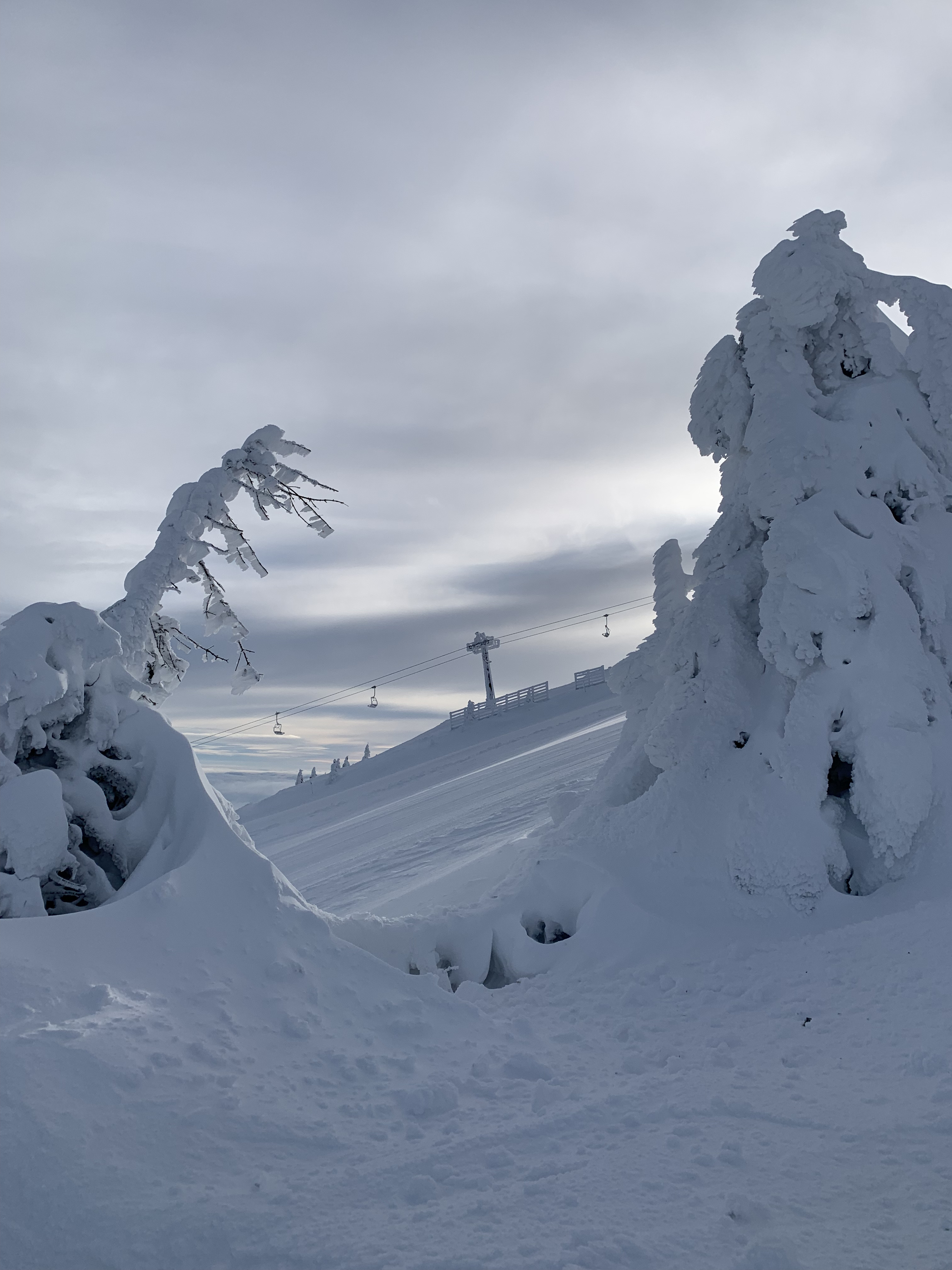 Групповые занятия сноубордом на Копаонике в Сербии с русским инструктором